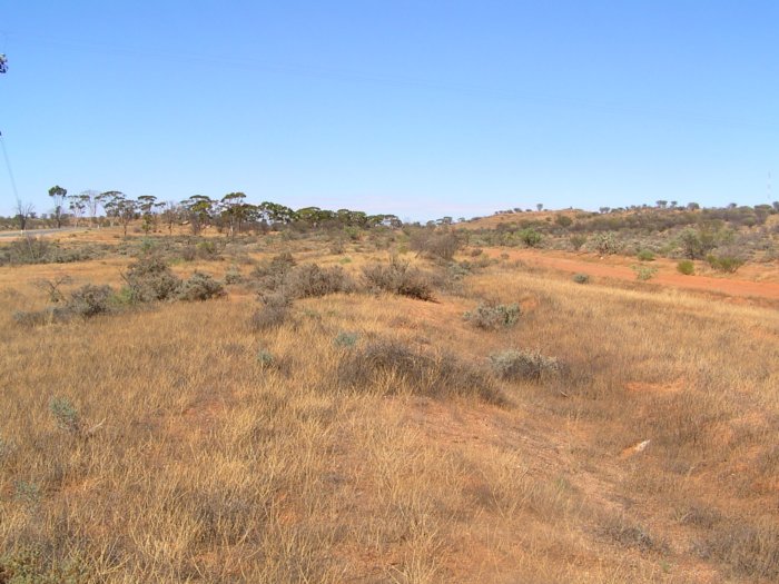 The location of the junciton between the Tarrawingee line and the short branch to the Broken Hill Racecourse.