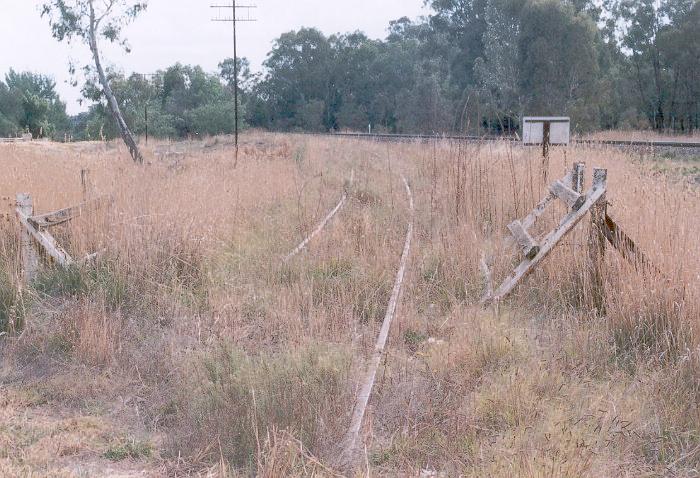The view of the end of the Corowa branch line from the Olympic Highway crossing looking north-east to the junction with the main south.
