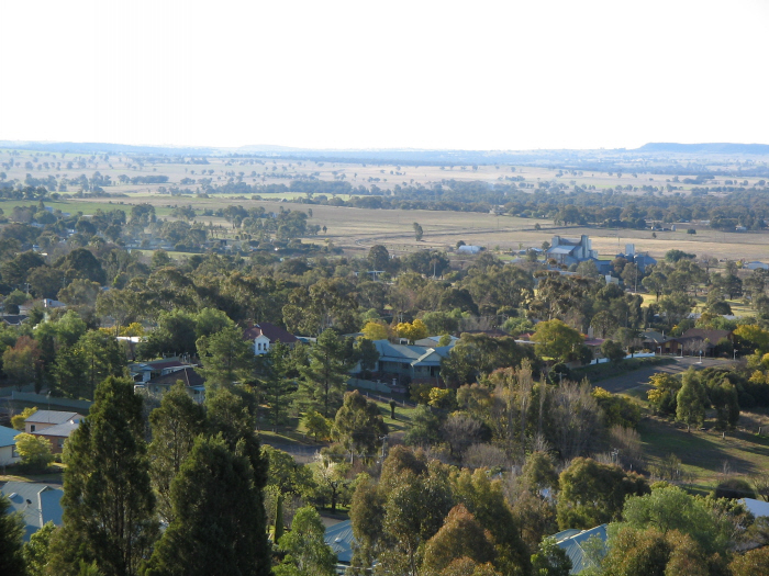 Leaving Gulgong in the centre of the photo, the Line to Gwabegar curves around to the right. The line to Mary Vale would have gone straight out from that point to the left of the photo.