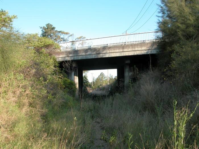 Between the Allowrie and Dairy Farmers Factories the branch line passes beneath the Pacific Highway. This view is taken from the Allowrie factory side looking towards the Dairy Farmers factory. The track is hidden in the long grass.