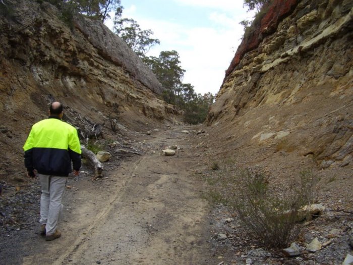 The cutting at the Wallerawang (down) end.