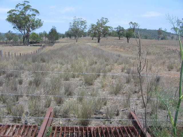 Looking along the top embankment where the line ran across, near the mine entrance road for trucks that carry the coal out of the mine.