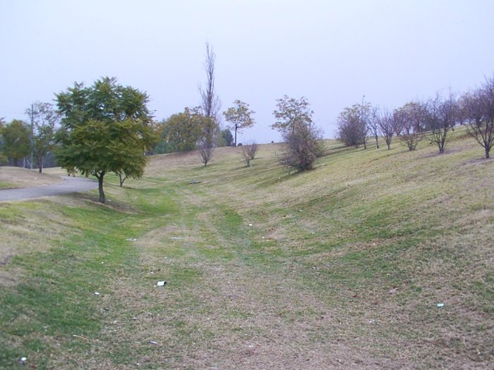 The curved cutting at Hana Park looking towards the bridge.