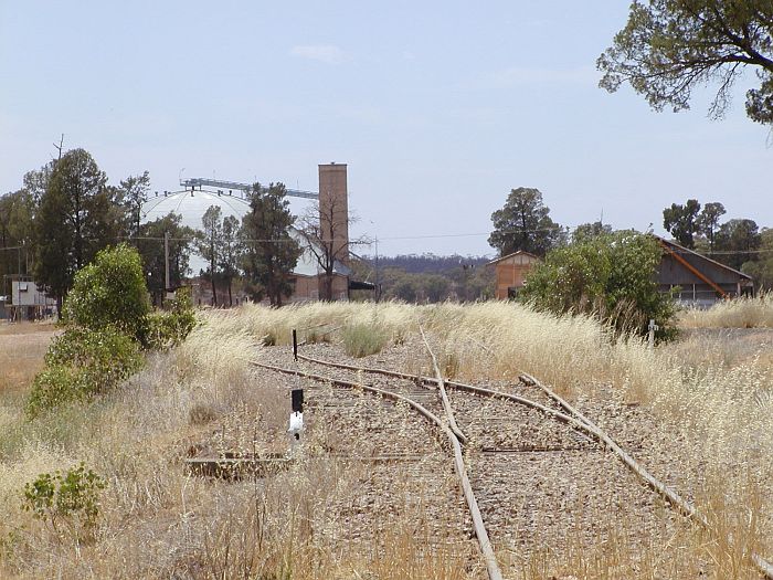 
The view from the end of the line at Rankins Springs, looking east
towards the silo.
