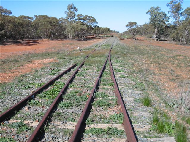 
The south junction of Roto triangle, looking towards Hillston.

