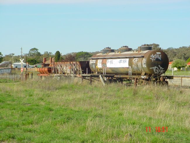 
Some rolling stock at the northern end of the yard.
