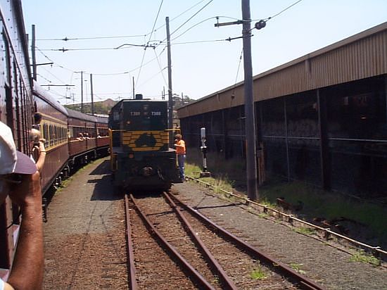 
A 3801 Ltd tour train crosses a Freight Australia grain train with
T388 in the lead, in the yard.
