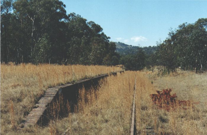 
The overgrown remains of the platform, looking towards Wallangarra.
