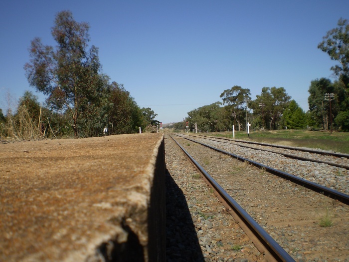 The view looking along the platform edge in the direction of Cootamundra.