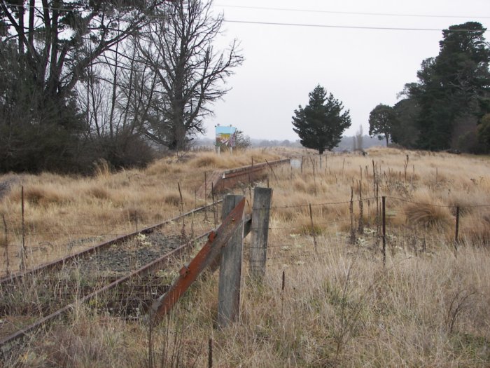 Overgrown station looking north. Note fence across cattle grate (foreground) and gate mid platform.