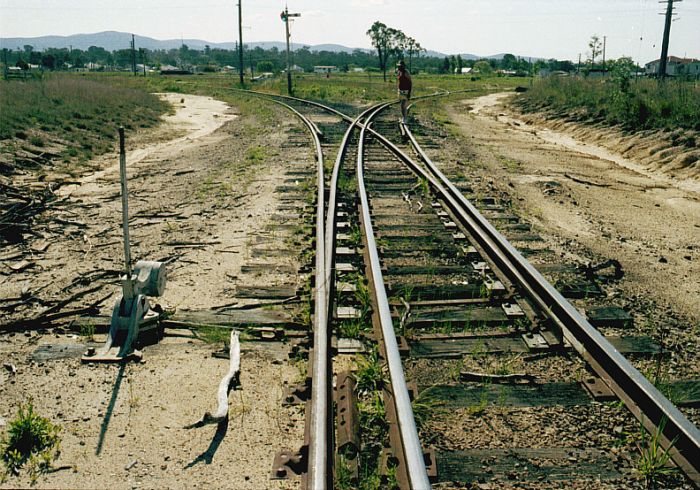 A shot of part of the dual gauge triangle in the yard.  This is at the top of the wye, with the main line running from the south (left) to the north (right) in the background. The south leg on the left is standard gauge. The narrow gauge south leg is visible just behind the person standing on the rail.