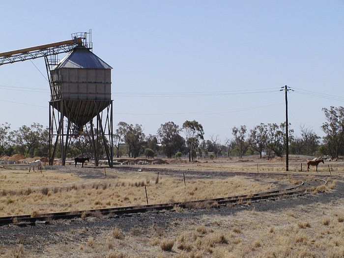 
The triangular turning siding at Warren,  with a silo adjacent to the
arm of the triangle furthest from the station.    It is unclear if
this silo is in use.
