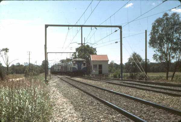1985 still saw mid week race trains to Warwick farm Racecourse. Here is a race train coming from the Racecourse Branch onto the up line to head to Sydney Central.