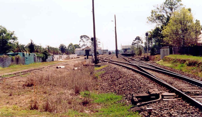 The view looking north from the Oxley Highway crossing. The stationis visible on the right in the distance. Just before it is the disused No 3 Timber Siding. On the far left is the goods siding, while in the centre are the transit (obscured) and loop sidings. In the distance are some wagons at the cement silo.