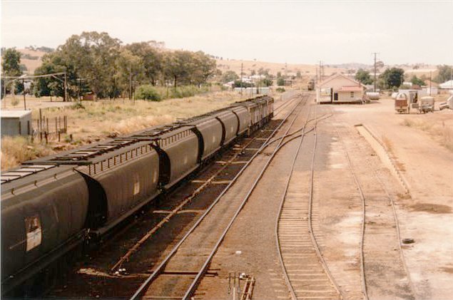 The view looking south as an Up Wheat train passes through the yard. The former locomotive servicing facilities were located in the grassy area opposite the goods shed.