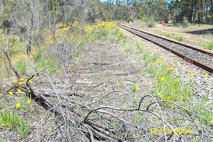 
The remains of the lifted Down Main, near the junction.
