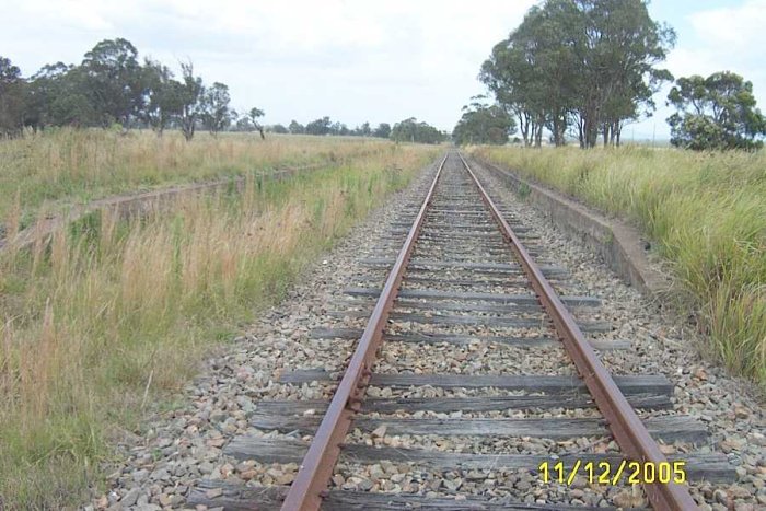 The two platforms looking towards Kurri Kurri. The Stanford Merthyr Branch is hidden on the left.