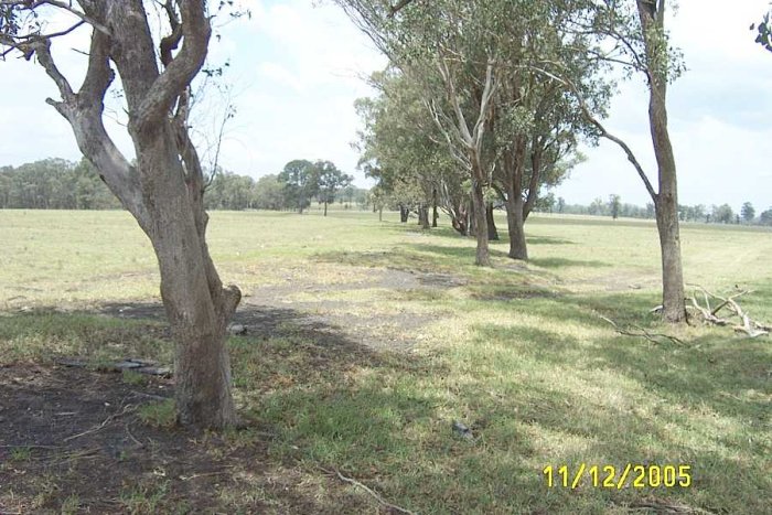 Standing against the fence line, the formation of the Stanford Merthyr line can be seen between the trees and curving around to the left.