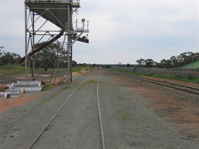 The view looking north along the silo siding.  The station was located on the right hand side of the photograph.
