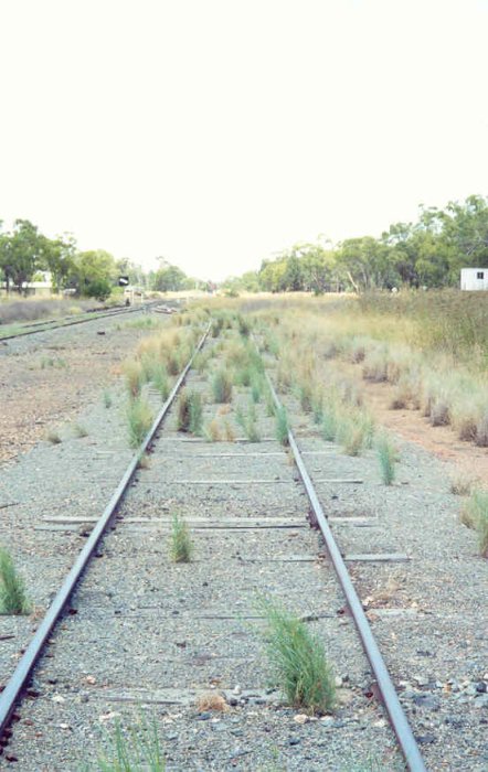 The view looking south towards the southern end of the yard.