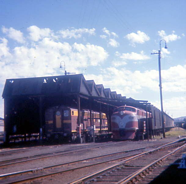 GM and 42 class sitting in the old carriage shed at Albury looking north.
