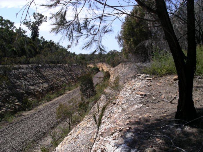 The well-constructed railway cutting at the 110km location.