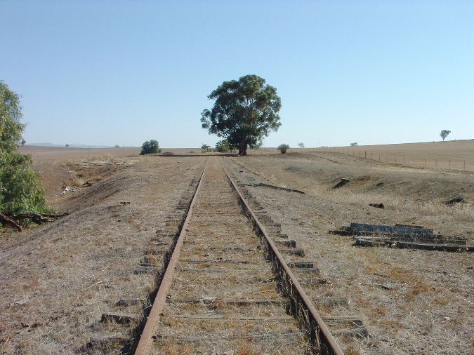 
The view looking down the line through the location.  The remains of
the goods shed in in the middle distance on the left.
