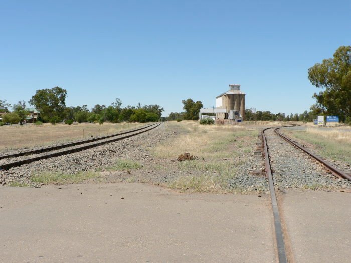 The view looking east.  The station was located on the left of the main line. Between the main line and the silos were the loop and goods sidings, now lifted.
