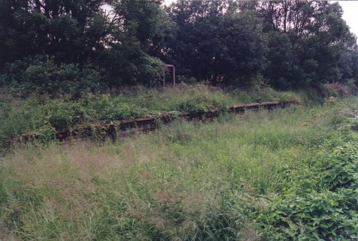 
The heavily overgrown wooden platform is all still evident.
