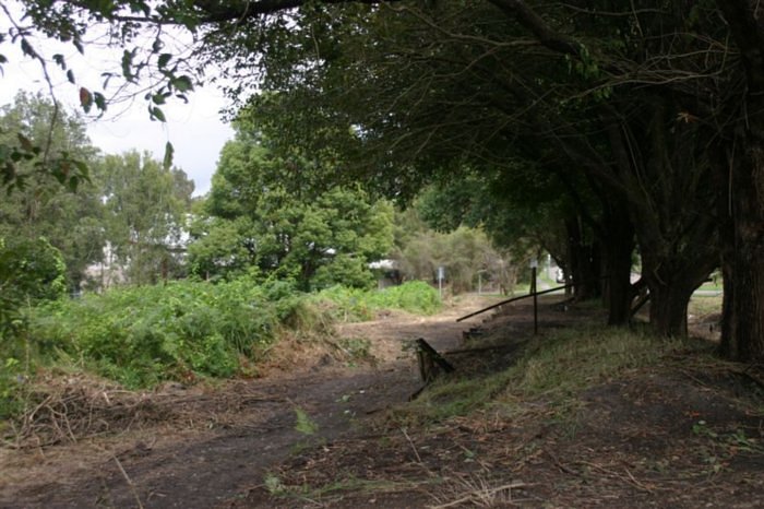 The view looking from the platform towards the partially cleared yard area.