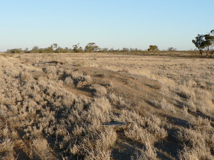 A closer view of some possible remains.