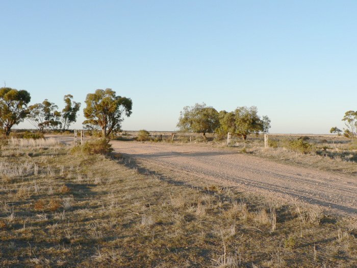 The view looking north towards the level crossing.