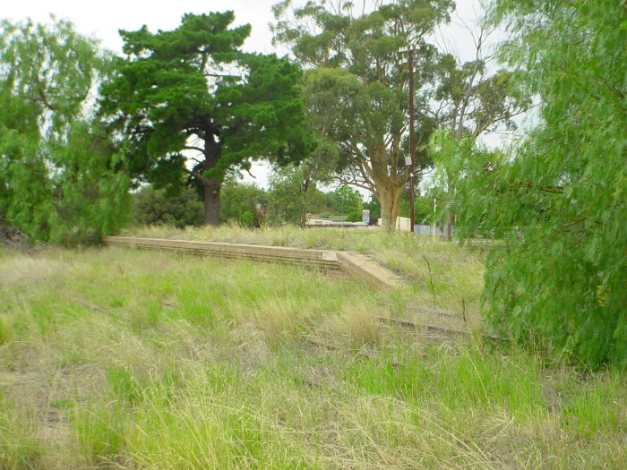 
The view looking towards the overgrown platform, with the main road in
the background.
