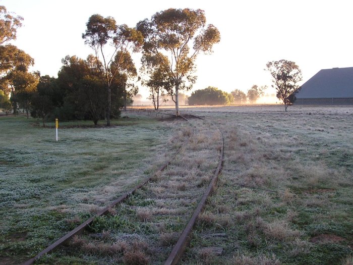 Looking north from the Jerilderie St level crossing towards Berrigan Station.