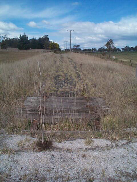 
Elsewhere the vegetation is starting to encroach over the track remains.
