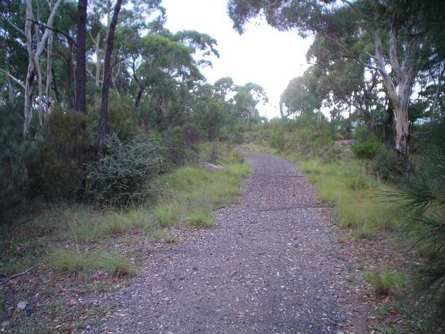 The view looking back along the formation towards the Berrima Junction.