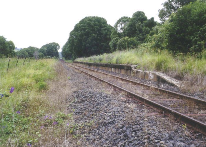 
The view along the overgrown platform, looking back towards Casino.
