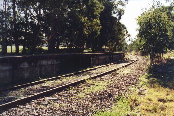 
The curved concrete platform, now covered in trees.
