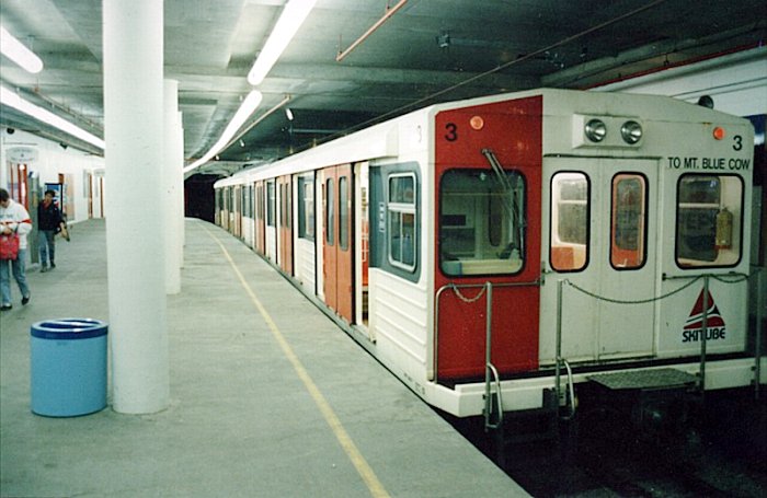 A view of the train stopped at Blue Cow station.