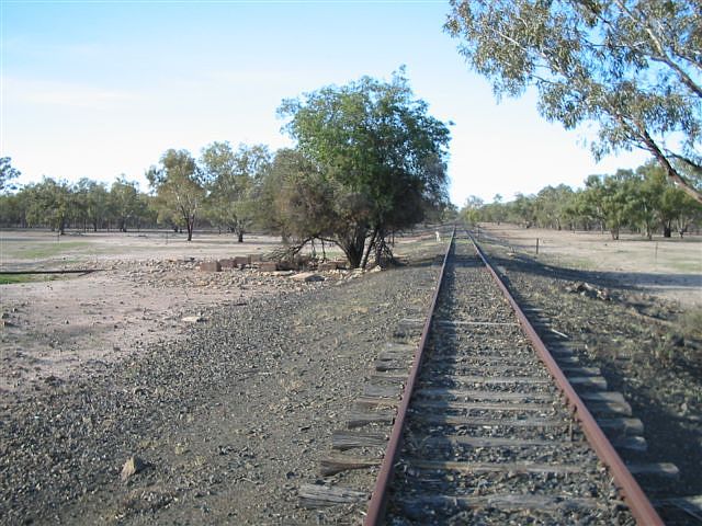
The location of Bogan River Tank, the foundations of which are to the left
of the tree.
