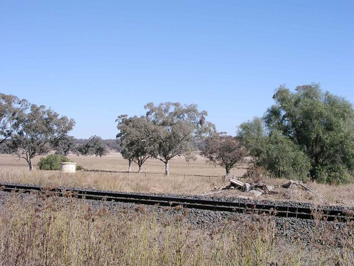 
The view looking north towards the probable remains of the station.
