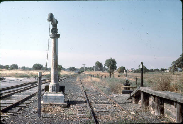 Boorowa yard looking toward Galong. The loco siding and 50' turntable were to the left in the grassy area.