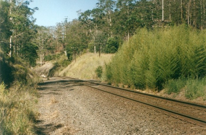 The view standing on the former crossing loop bed looking north. The signalbox would have been mostly hidden by the bamboo. It had a raised platform adjacent to the line for manual staff exchange. The tunnel to Queensland is a couple of hundred metres to the left from where the line disappears from view.