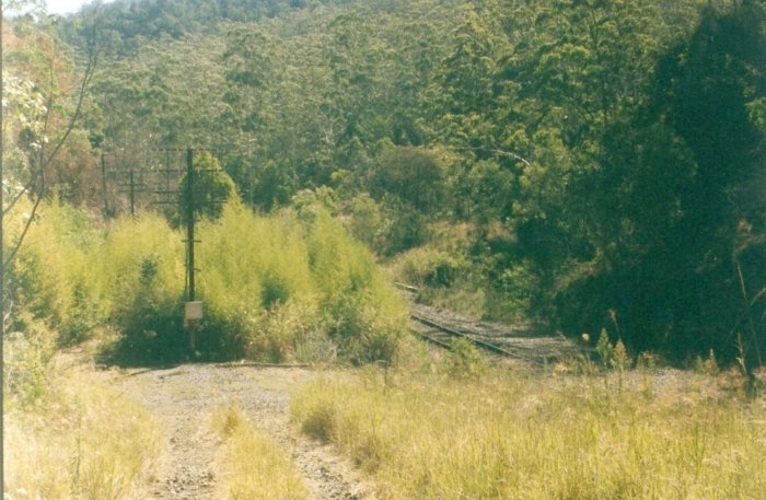The view standing on the access track looking south. The former signal box was this side of the bamboo between the telephone pole and the line. Beyond and to the left of the telephone pole there was a cottage used for signaller's accommodation. The cottage was burnt down in 1995.