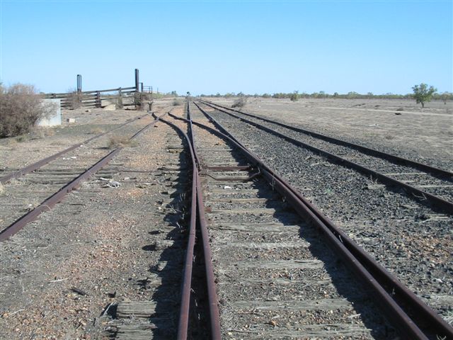 
The old cattle yards about 4 kms south of Bourke. The shot is taken facing
in the direction of Nyngan.
