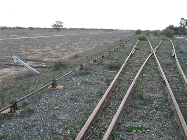 
The view of the abbatoir siding looking towards Bourke.
