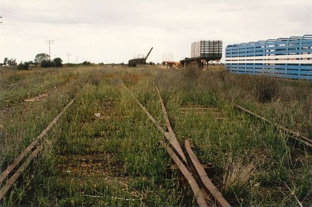 
The yard view, looking south.
