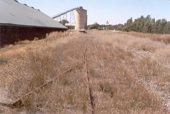 The derailer in the siding looking towards Culcairn. The remains of a goods loading platform (?) can be seen on the siding in front of the silos.