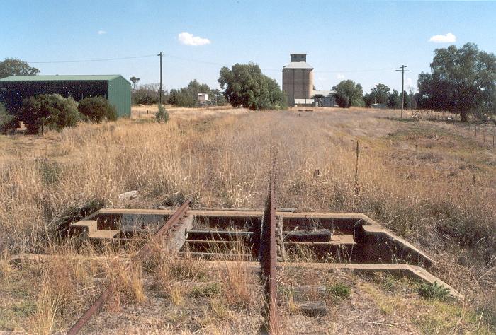 The view of the Brocklesby yard and silos from the Culcairn end.