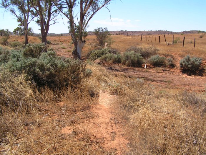 The remains of the Racecourse platform, located on a short branch off the main line.